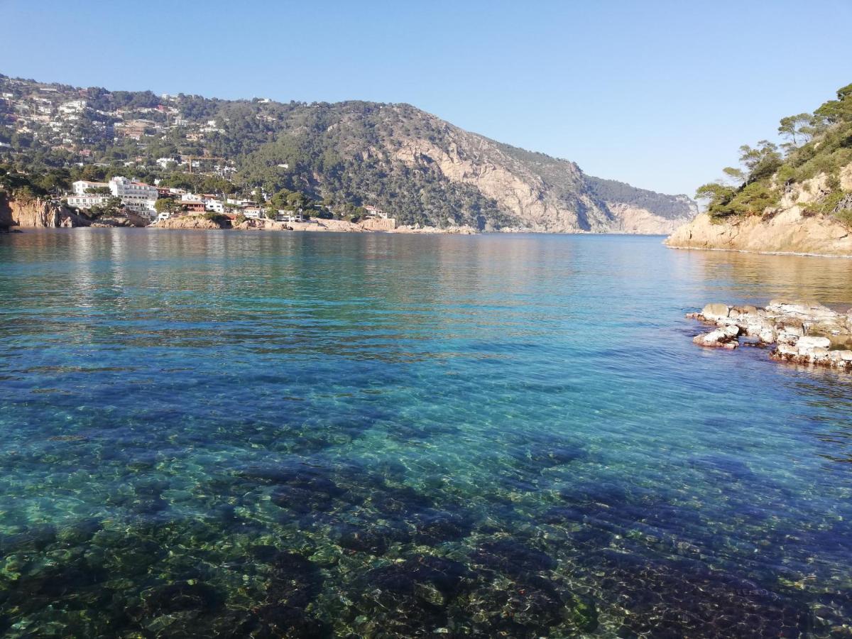 "La Terrasse De La Mer 1" -Climatisation-Wifi-Bbq -Piscine-Parking Begur Buitenkant foto
