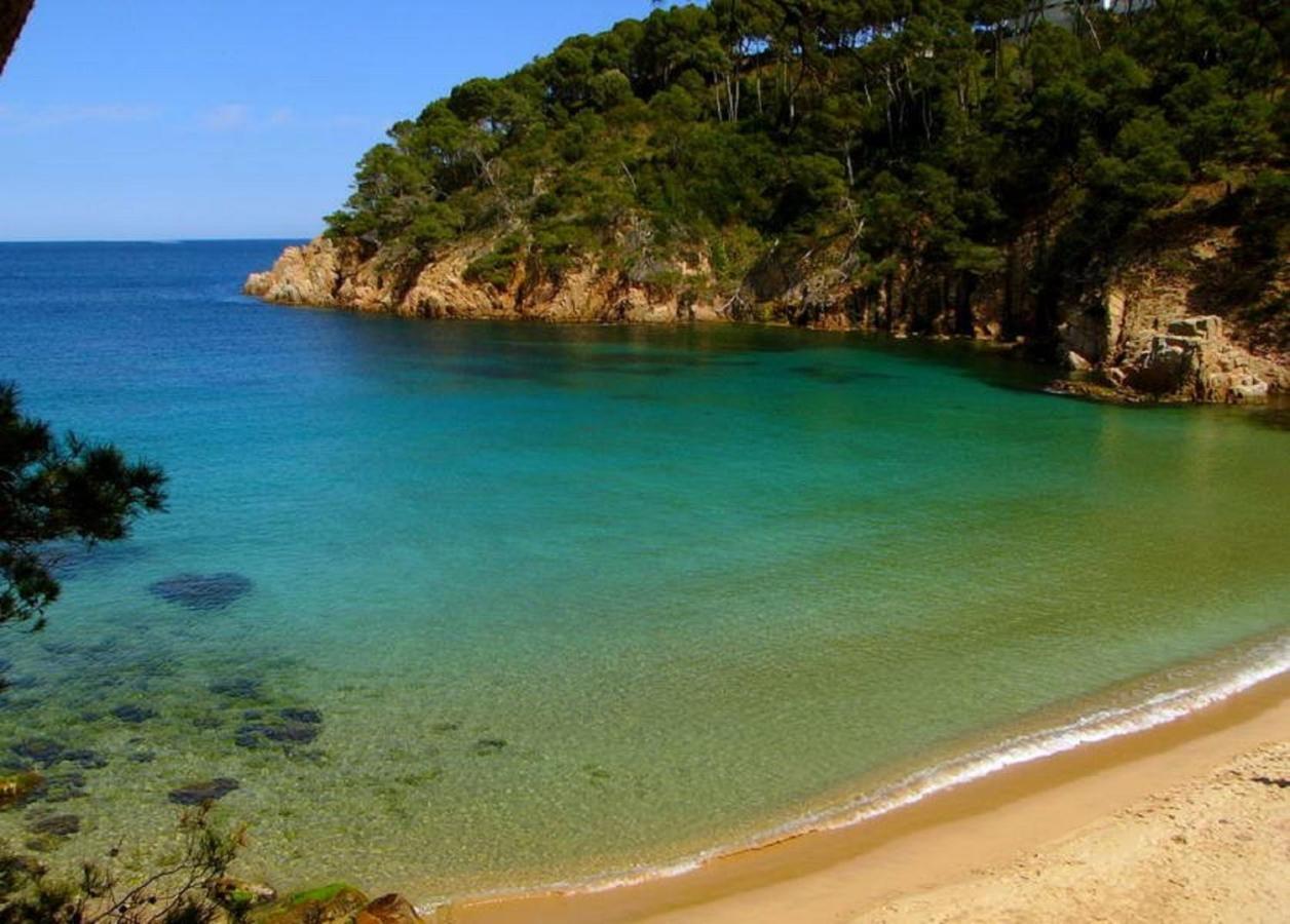 "La Terrasse De La Mer 1" -Climatisation-Wifi-Bbq -Piscine-Parking Begur Buitenkant foto